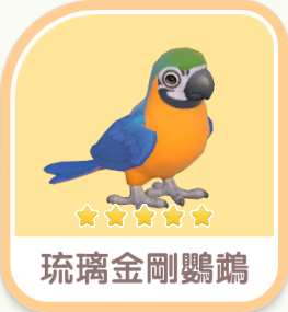 Blue-and-yellow Macaw