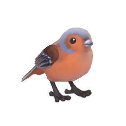 Chaffinch