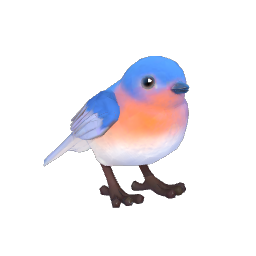 Eastern Bluebird