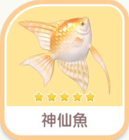 Angelfish