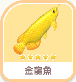 Asian Arowana