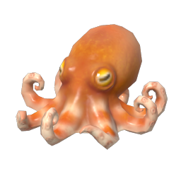 Atlantic Pygmy Octopus