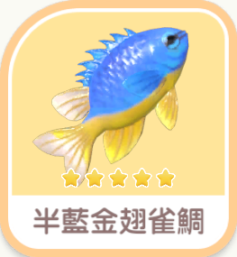 Azure Damselfish