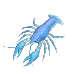 Blue Nordic Crayfish