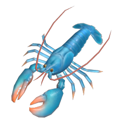 European Lobster