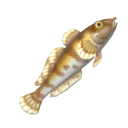 Goby