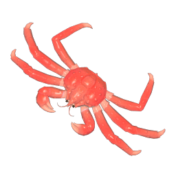 King Crab