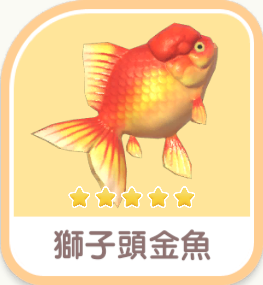 Lionhead Goldfish