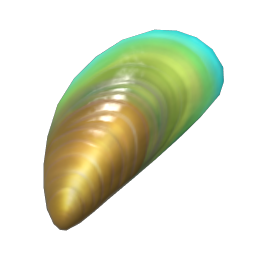 Mussel