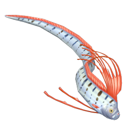 Oarfish