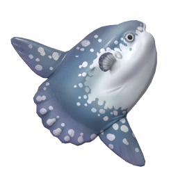 Ocean Sunfish