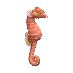 Seahorse
