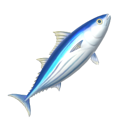 Skipjack Tuna