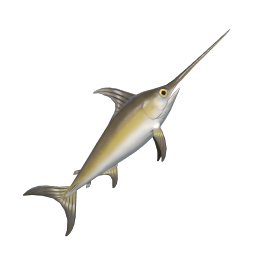 Swordfish