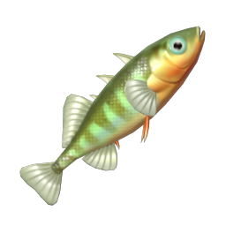 Three-spined Stickleback