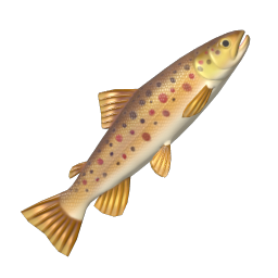 Trout