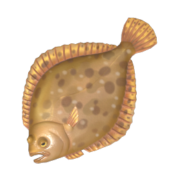 Turbot