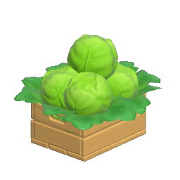 Lettuce