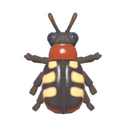 Asparagus Beetle