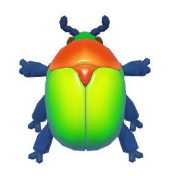 Beautiful Star Flower Beetle