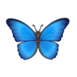 Blue Morpho