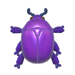 Blue Star Flower Beetle