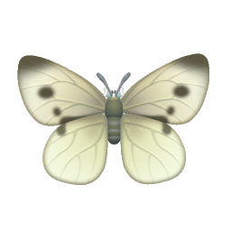 Cabbage White