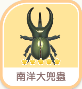 Chalcosoma atlas