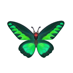 Emerald Swallowtail