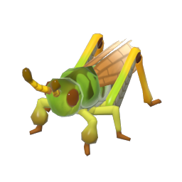 Gomphocercus sibiricus