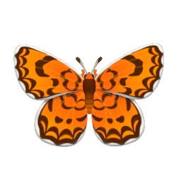 Leopard Lacewing