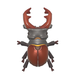 Lucanus maculifemoratus