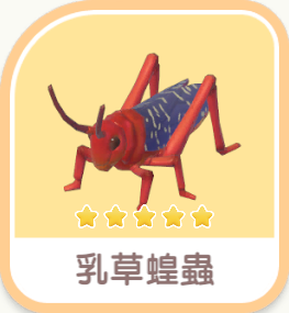 Milkweed Grasshopper