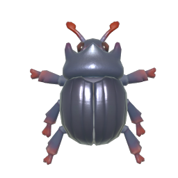Minotaur Beetle
