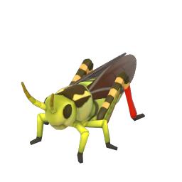 Net-winged Grasshopper