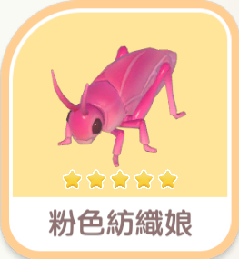 Pink Katydid