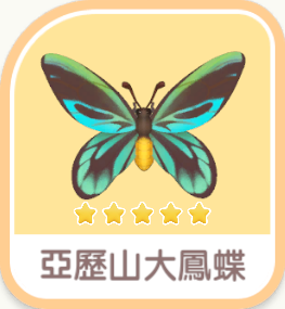 Queen Alexandra's Birdwing