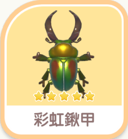 Rainbow Stag Beetle
