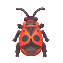 Red Soldier Bug