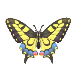 Swallowtail Butterfly
