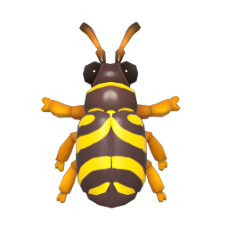 Wasp Beetle
