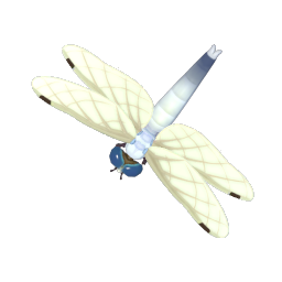 White-tailed Skimmer